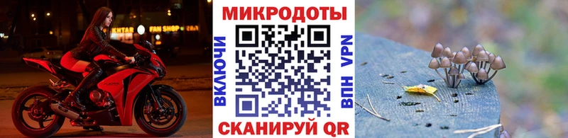 сколько стоит  Давлеканово  Псилоцибиновые грибы мухоморы 